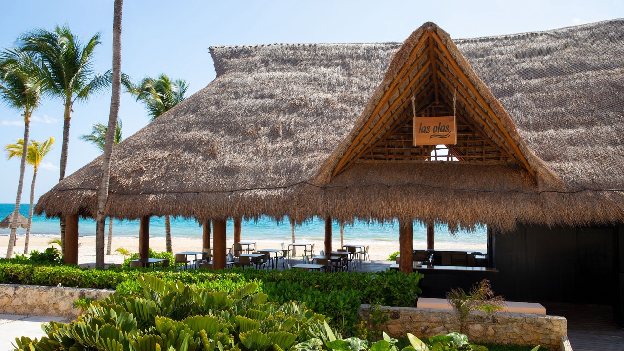 Photo of Others in Puerto Morelos