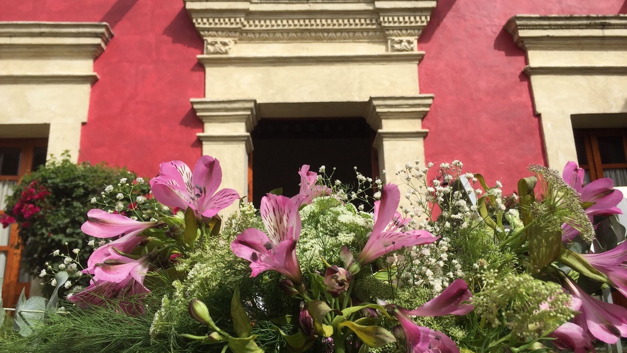 Photo of Bedroom in Cholula