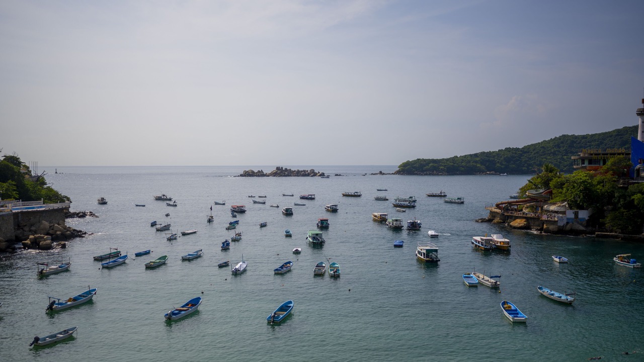 Photo of Others in Caleta