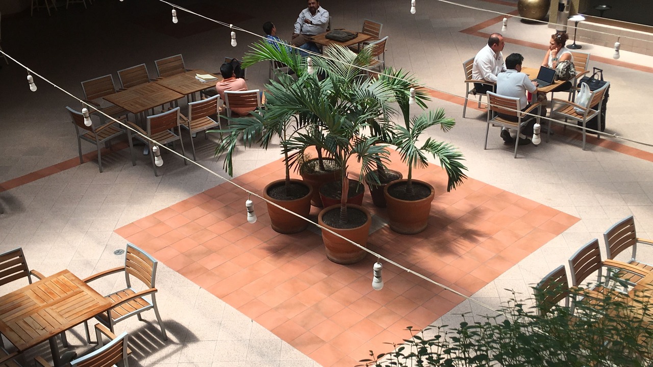 Photo of Others in Irapuato