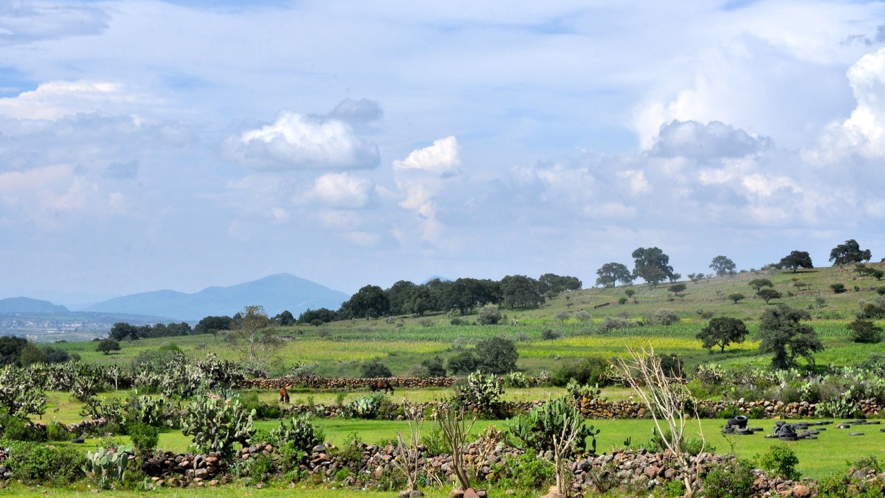 Photo of Outdoor in La Mancha