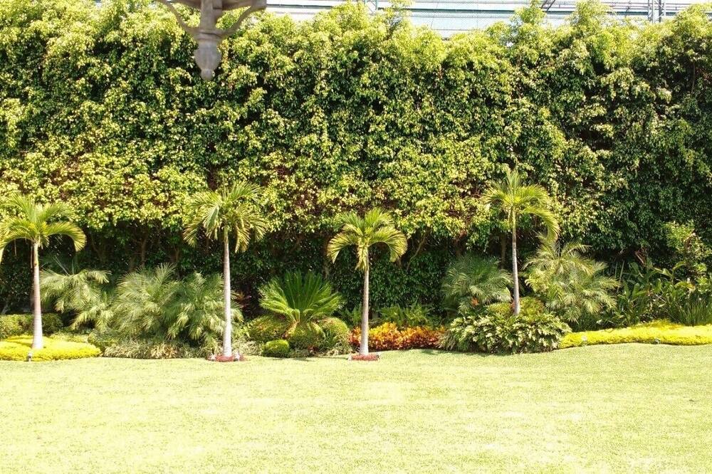Photo of Outdoor in Cuernavaca