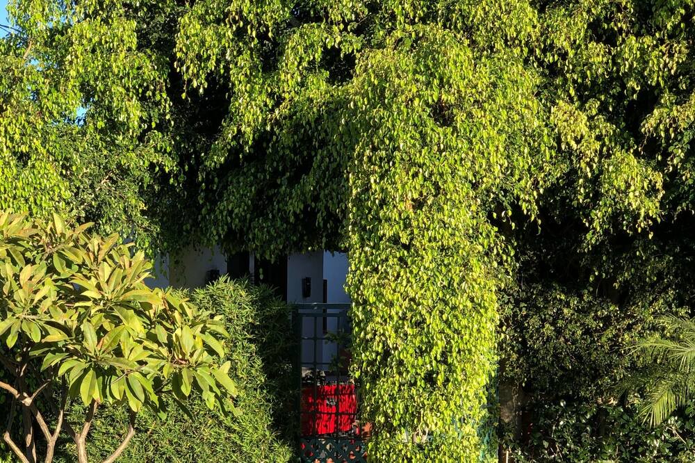 Photo of Outdoor in Cuernavaca