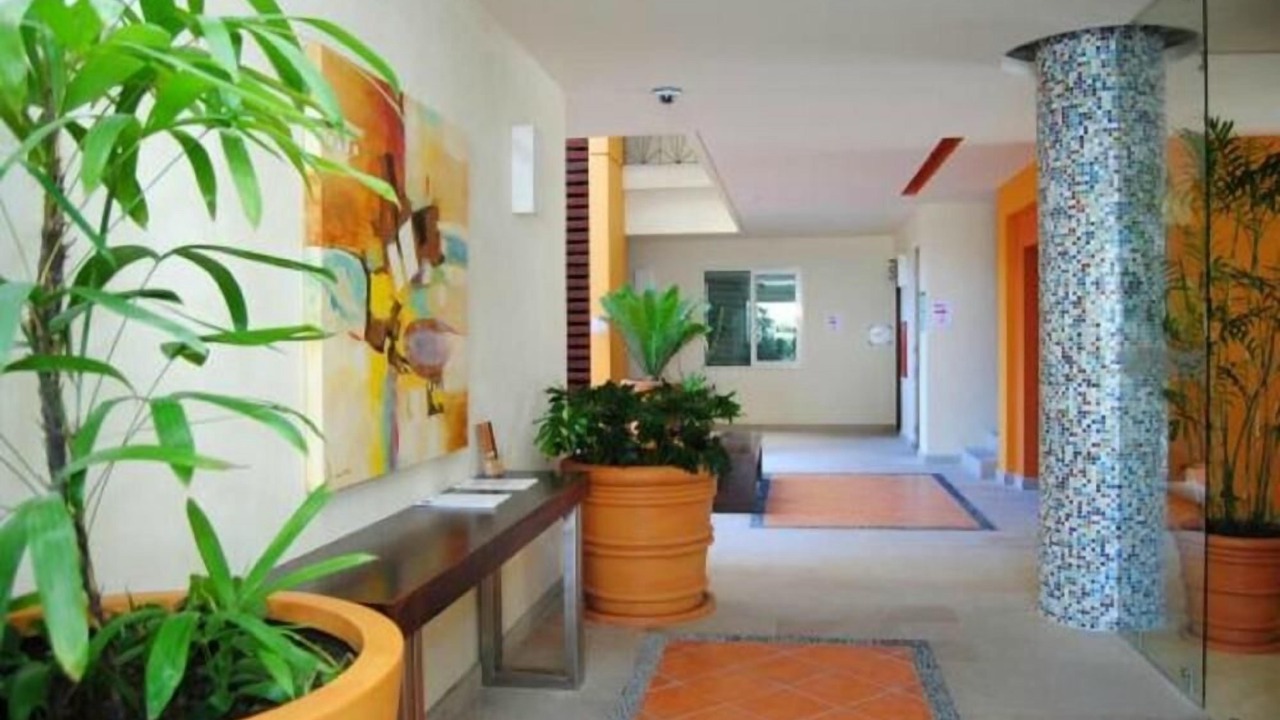 Photo of Outdoor in Amapas