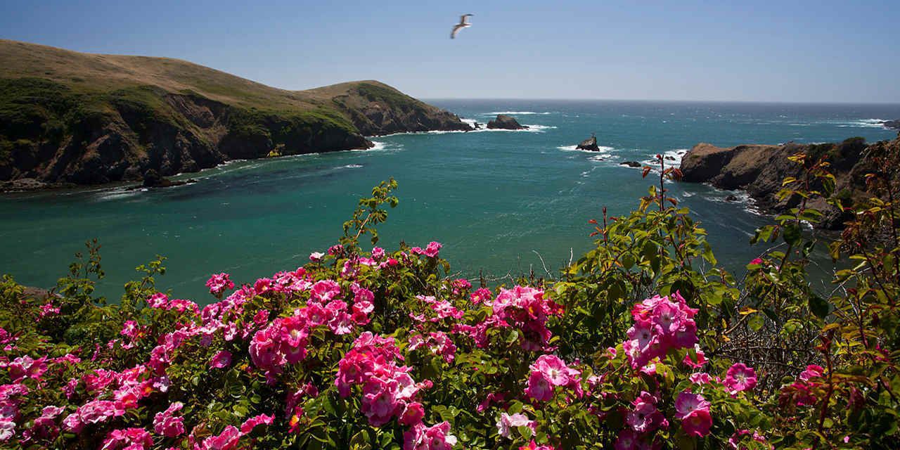 Photo of Outdoor in Mendocino