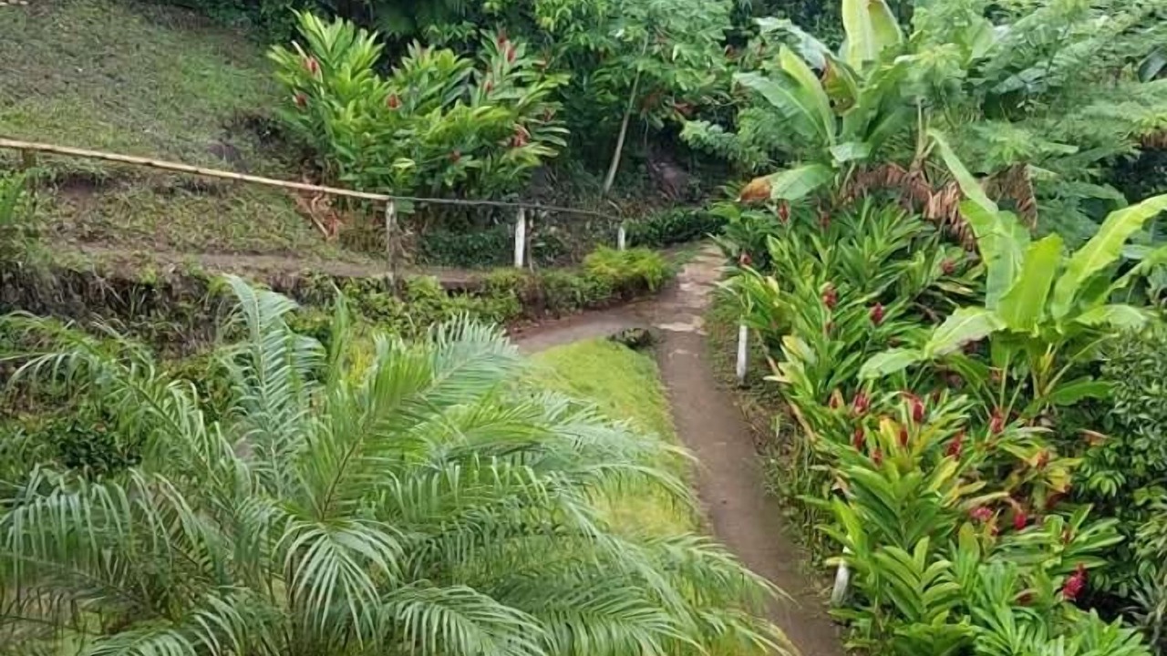 Photo of Outdoor in Catemaco