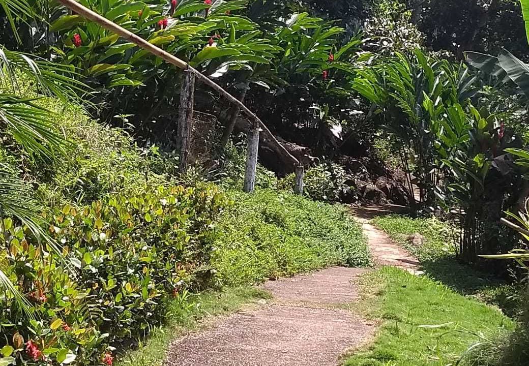 Photo of Outdoor in Catemaco