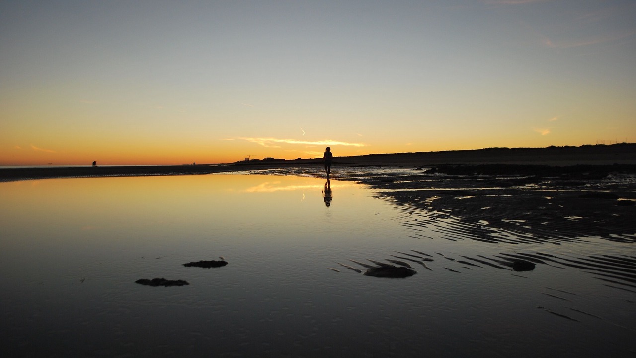Photo of Others in Puerto Penasco