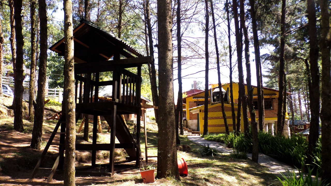 Photo of Outdoor in Altotonga