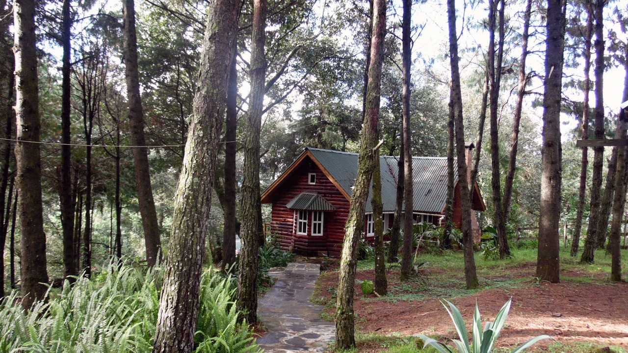 Photo of Outdoor in Altotonga