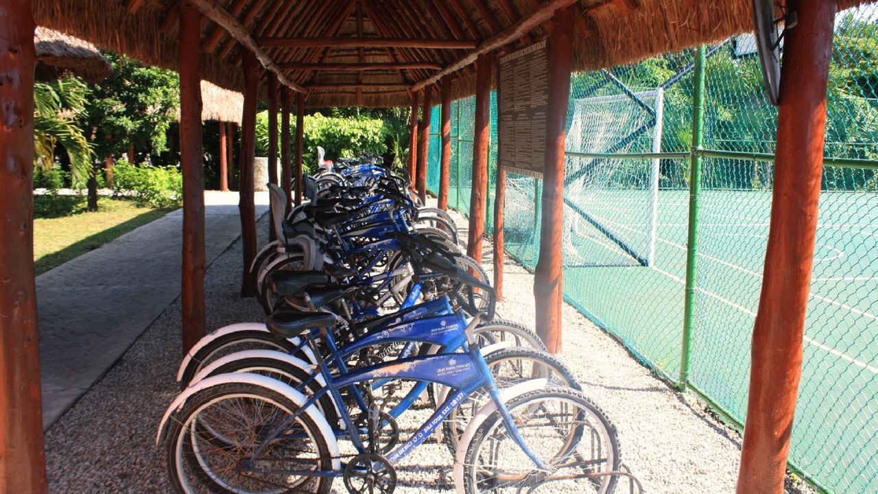 Photo of Outdoor in Akumal