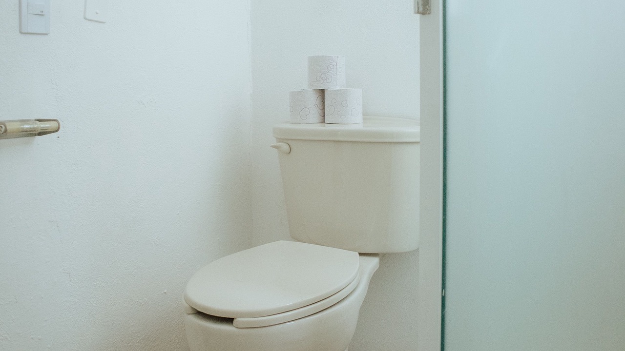 Photo of Bathroom in Hidalgo