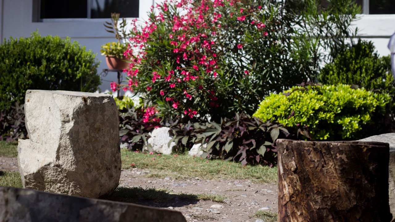 Photo of Outdoor in Hidalgo