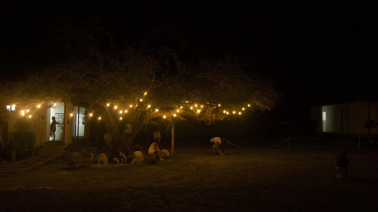 Photo of Outdoor in Hidalgo
