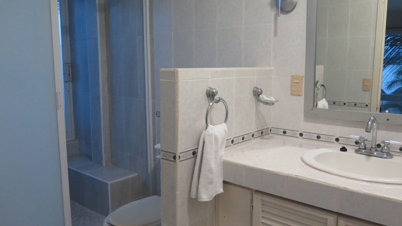 Photo of Bathroom in Bucerias