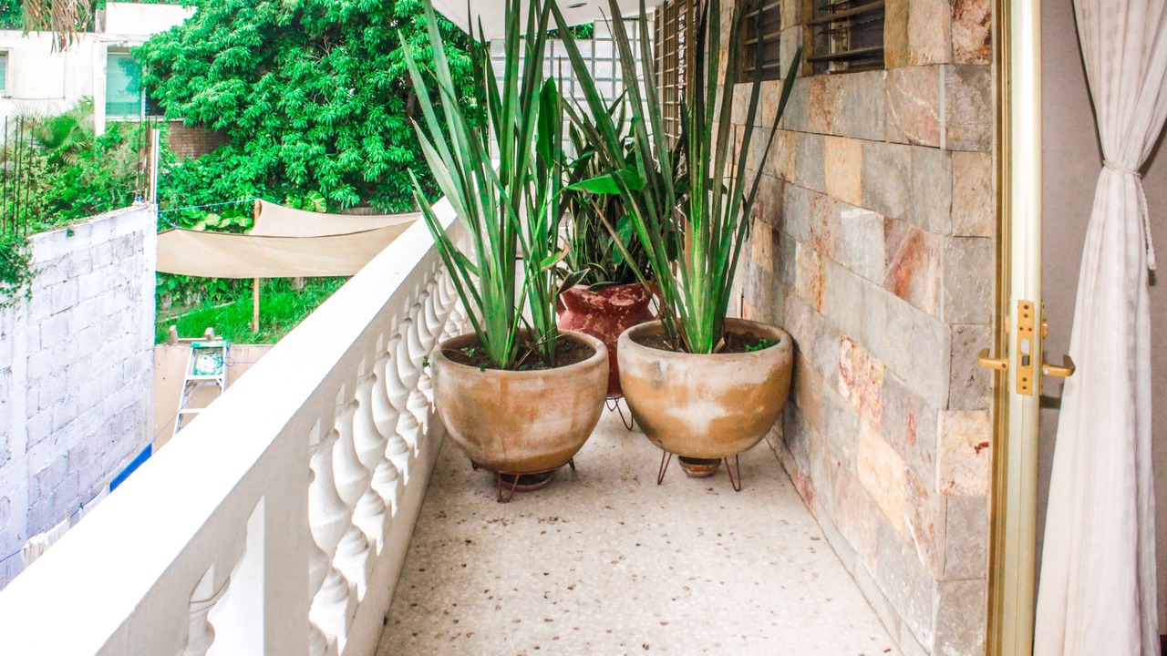 Photo of Outdoor in Tuxpan