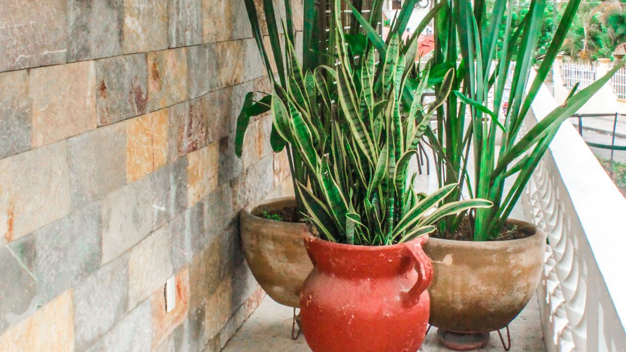 Photo of Patio Balcony in Tuxpan