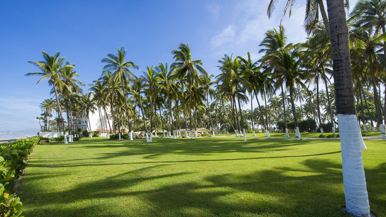 Photo of Outdoor in Puente del Mar
