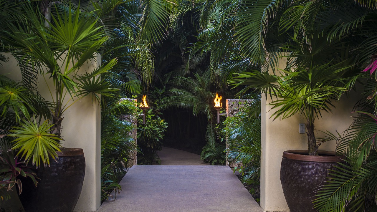 Photo of Outdoor in Punta de Mita