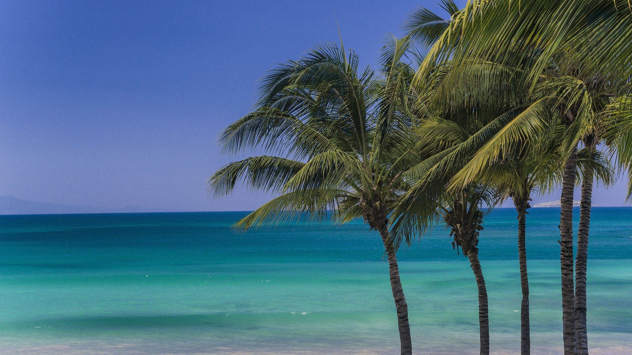 Photo of Outdoor in Punta de Mita