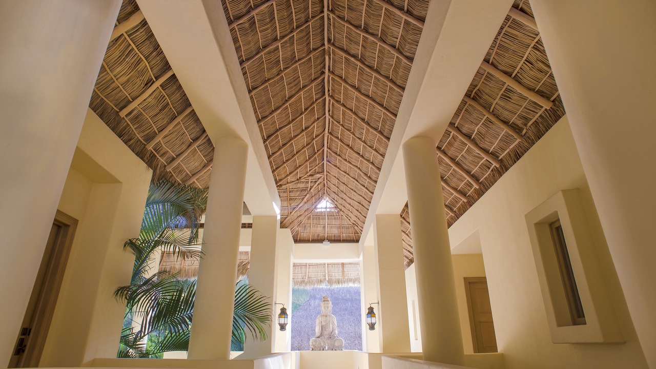 Photo of Others in Punta de Mita
