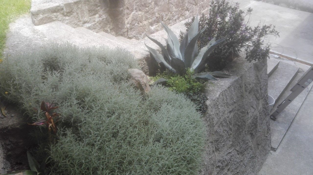 Photo of Others in Toluca City-Centre