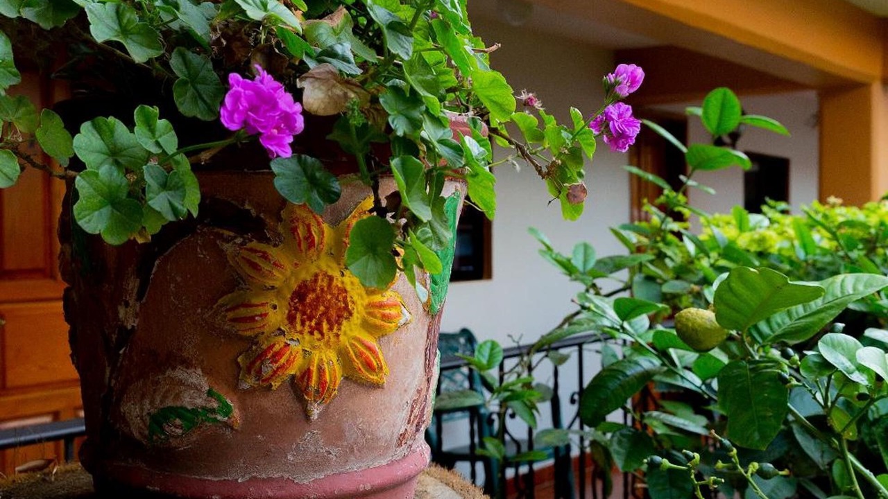 Photo of Outdoor in Tula de Allende