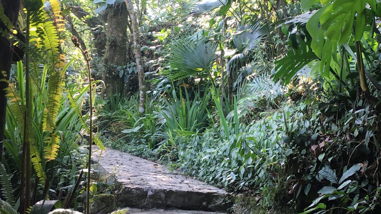 Photo of Outdoor in Cuetzalan del Progreso