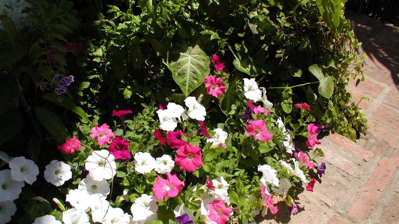 Photo of Outdoor in Conchas Chinas