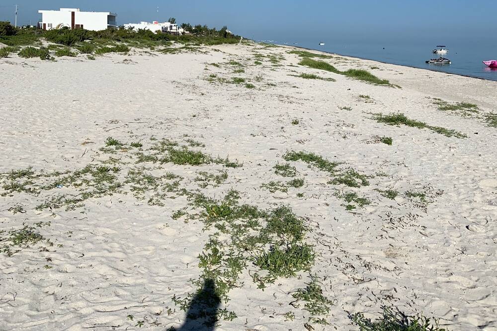 Photo of Others in Miramar