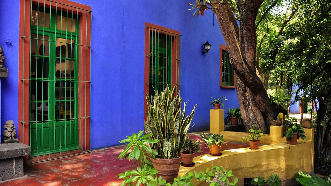 Photo of Outdoor in Los Girasoles I