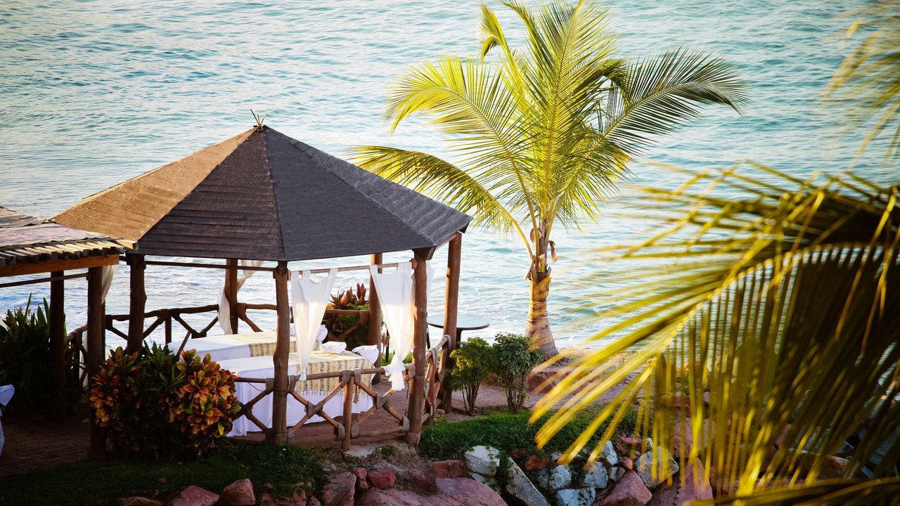 Photo of Others in Puerto Vallarta
