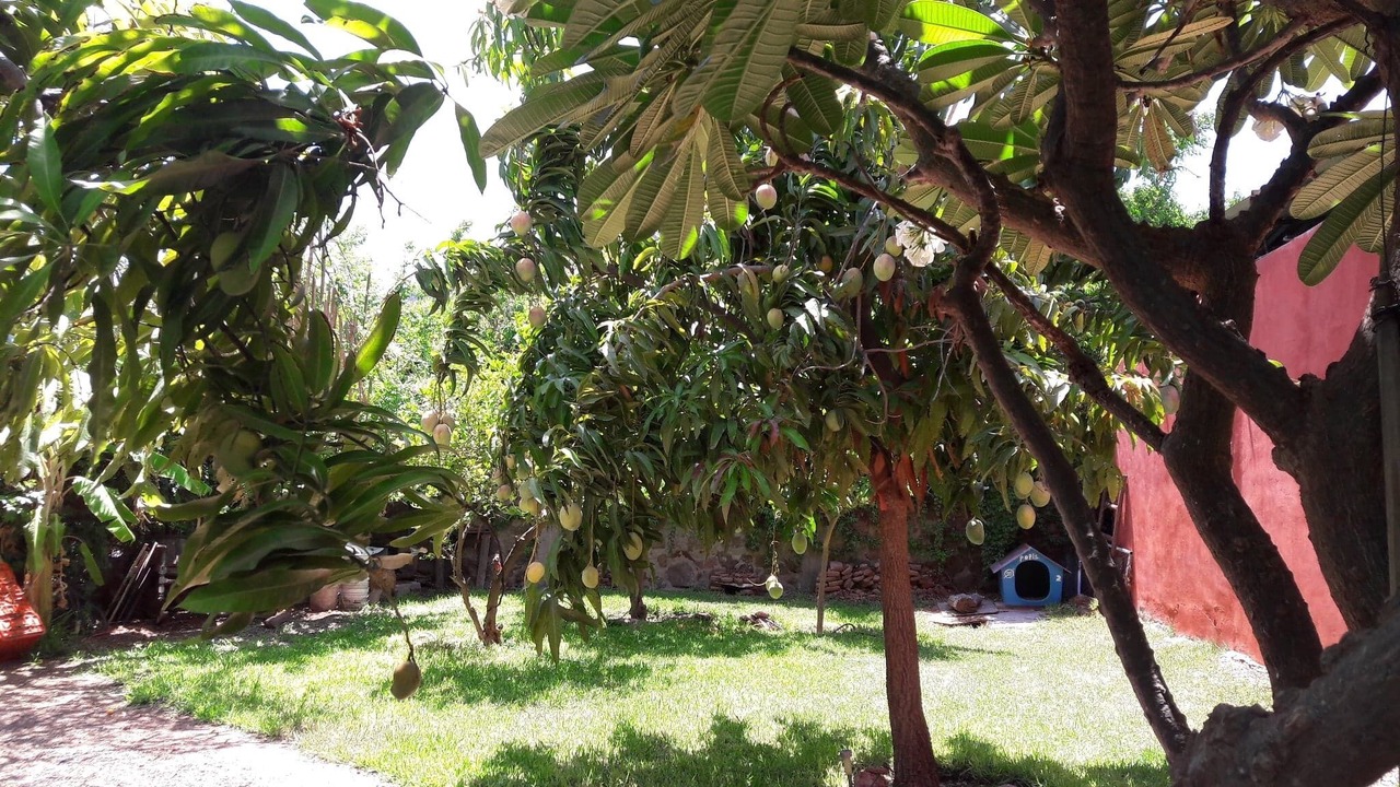 Photo of Outdoor in Guaymas
