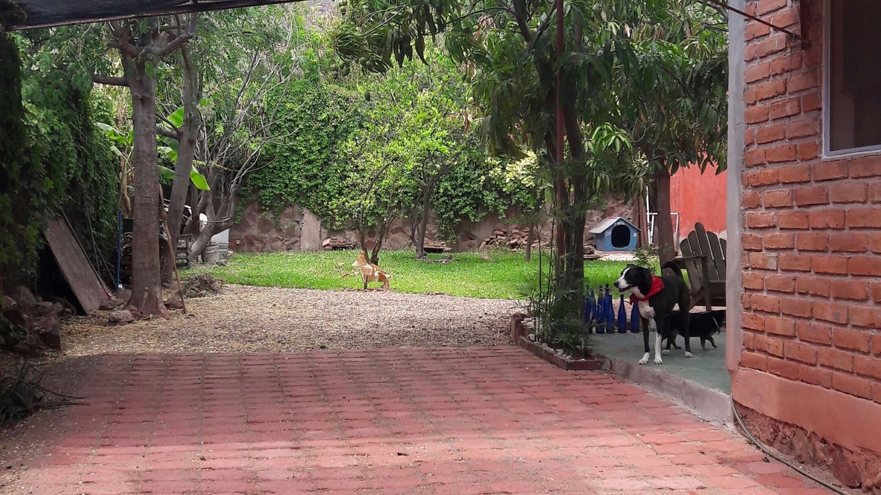 Photo of Outdoor in Guaymas