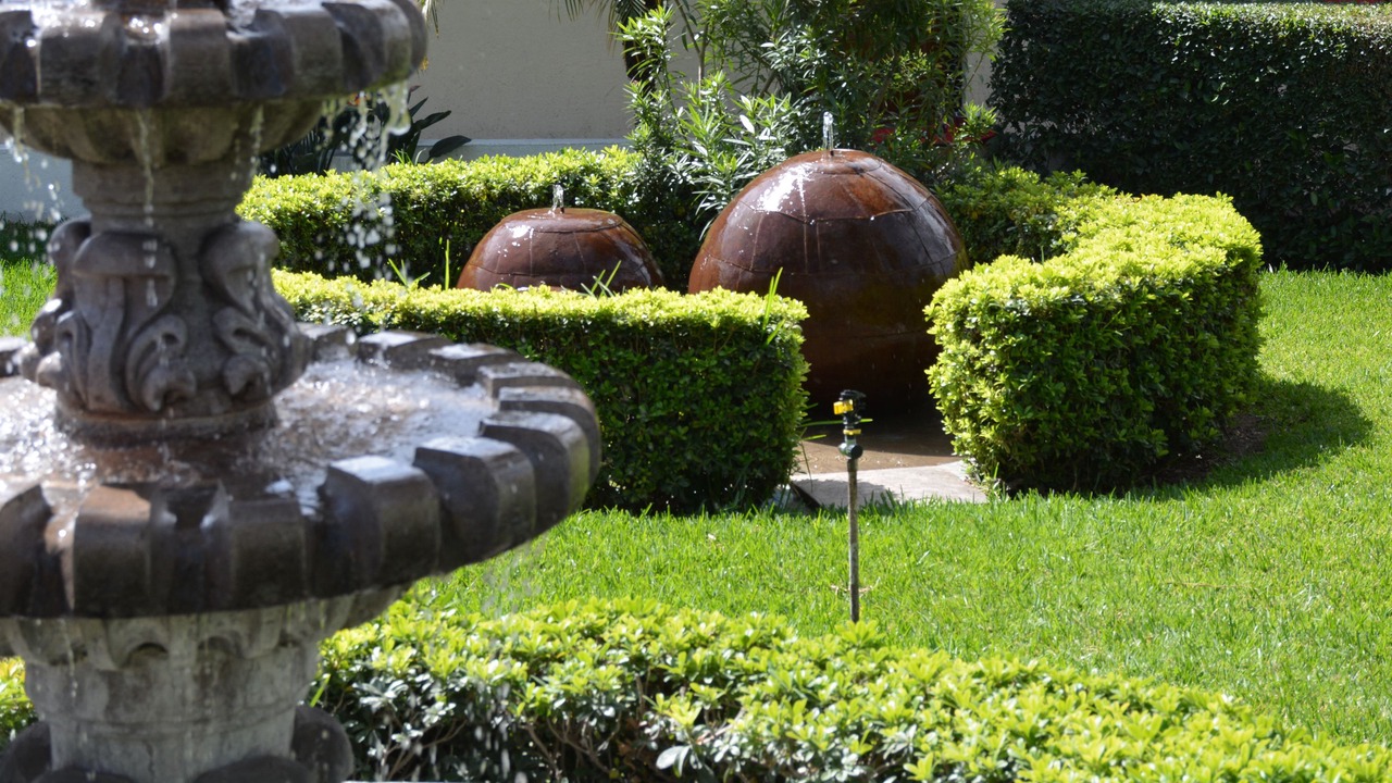 Photo of Others in San Pedro Tlaquepaque