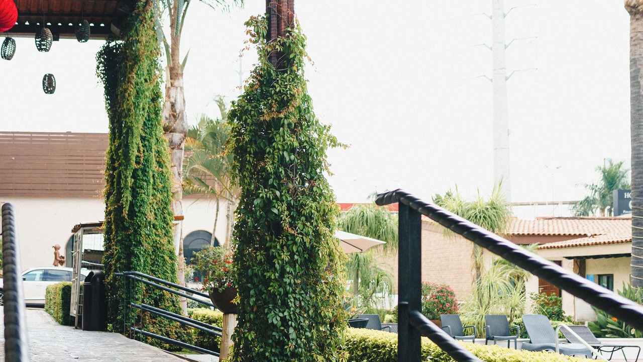 Photo of Outdoor in San Pedro Tlaquepaque