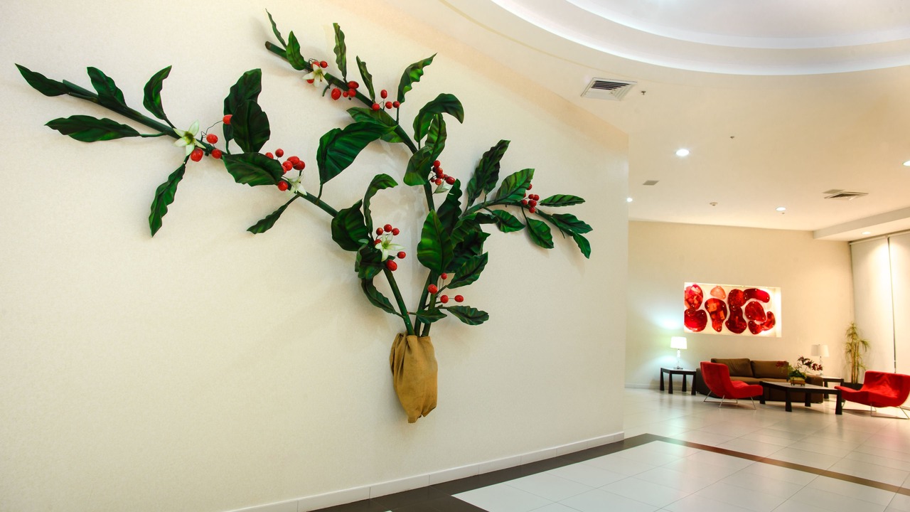 Photo of Outdoor in Tapachula