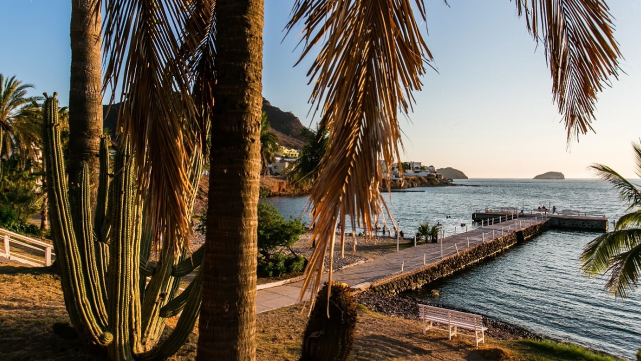 Photo of Others in Guaymas