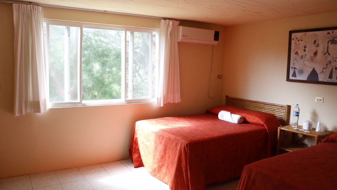 Photo of Bedroom in Apazapan