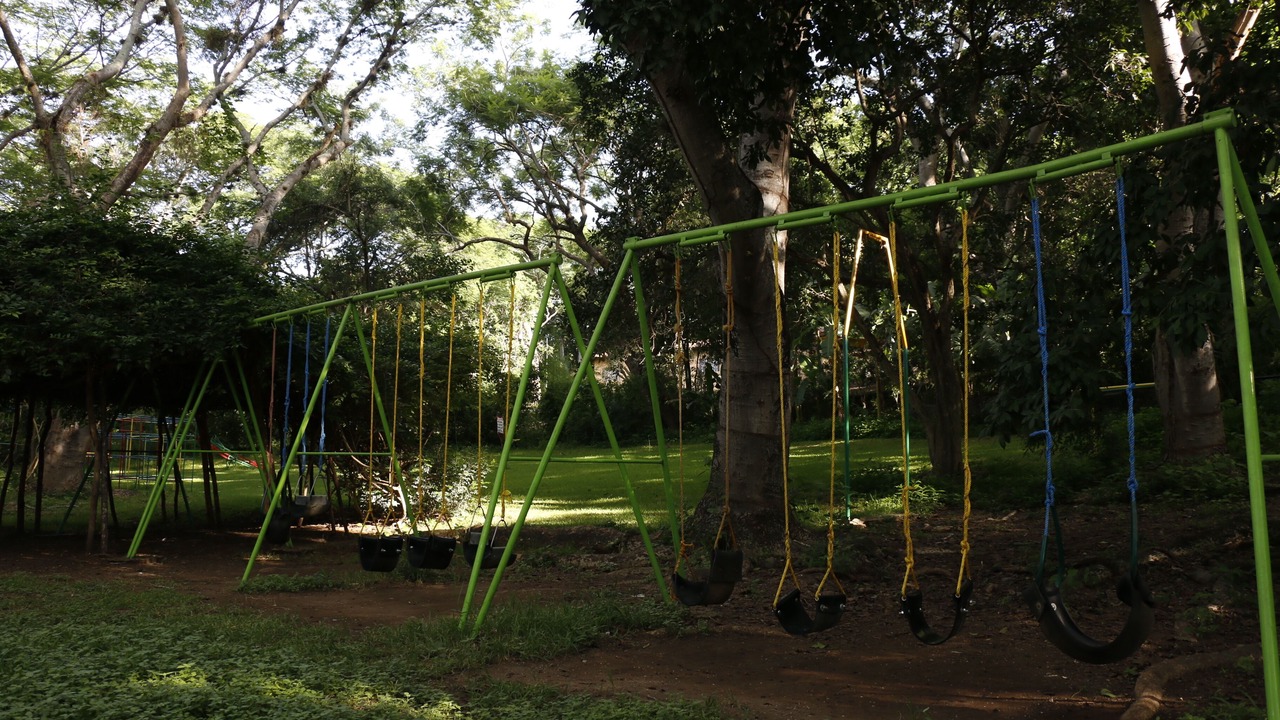 Photo of Outdoor in Apazapan
