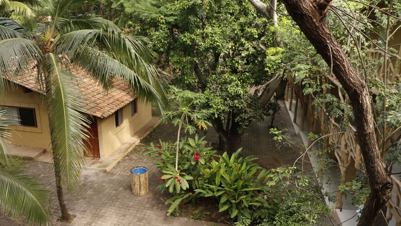 Photo of Outdoor in Apazapan