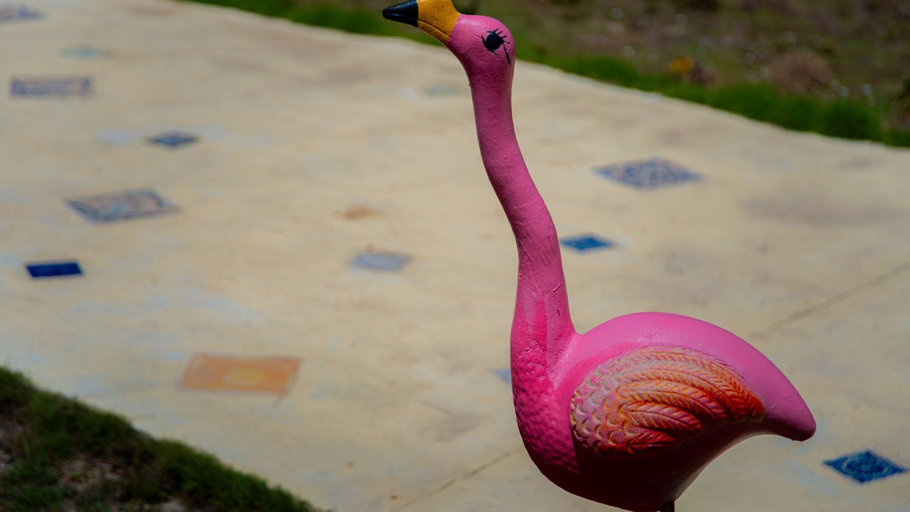 Photo of Outdoor in Chuburna Puerto