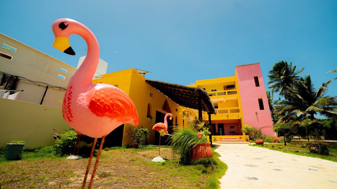 Photo of Outdoor in Chuburna Puerto