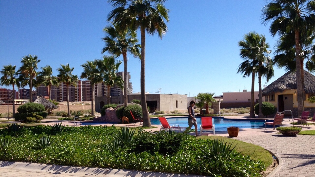 Photo of Outdoor in Sandy Beach
