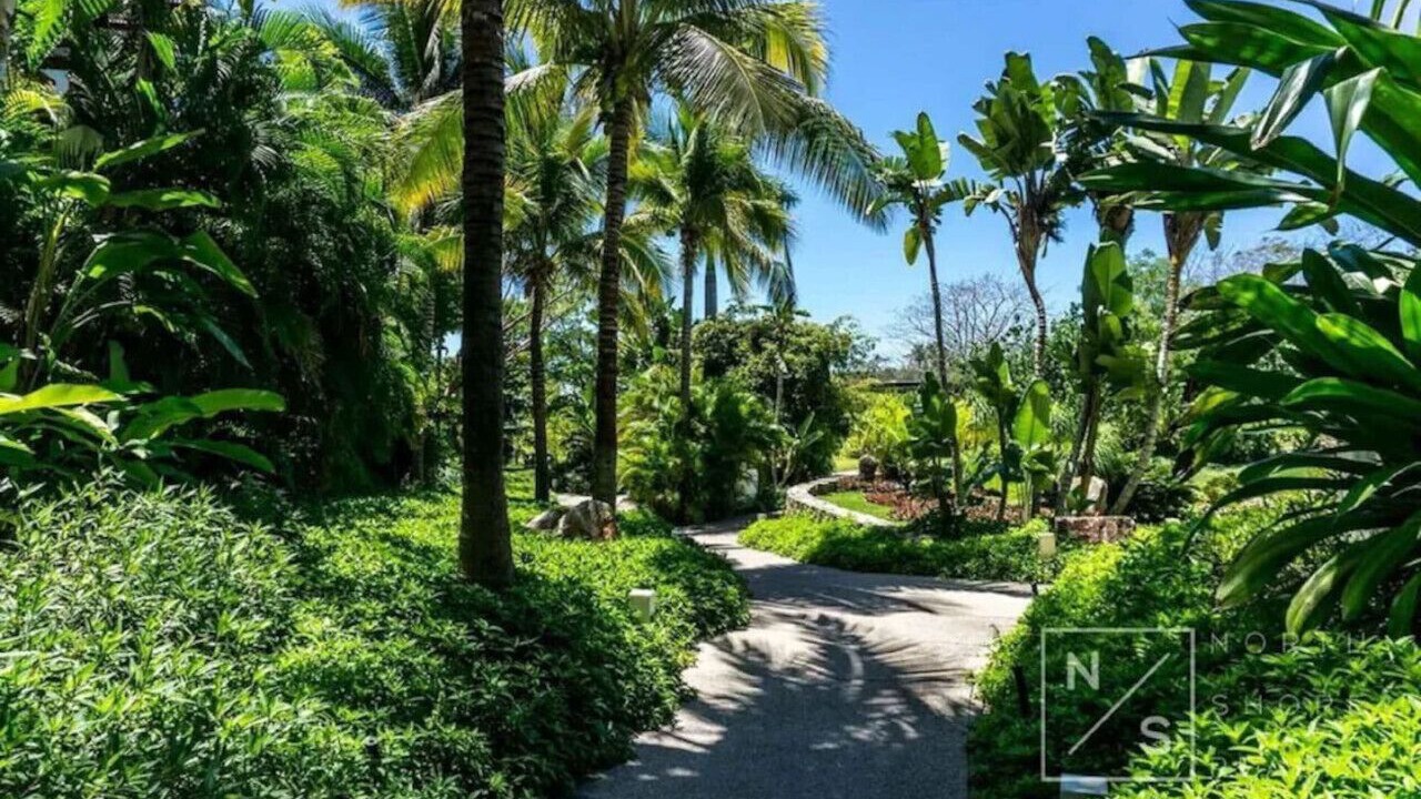 Photo of Outdoor in Punta de Mita