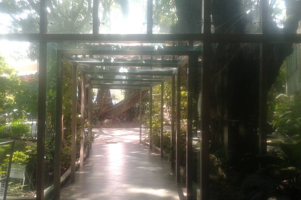 Photo of Others in Jacarandas