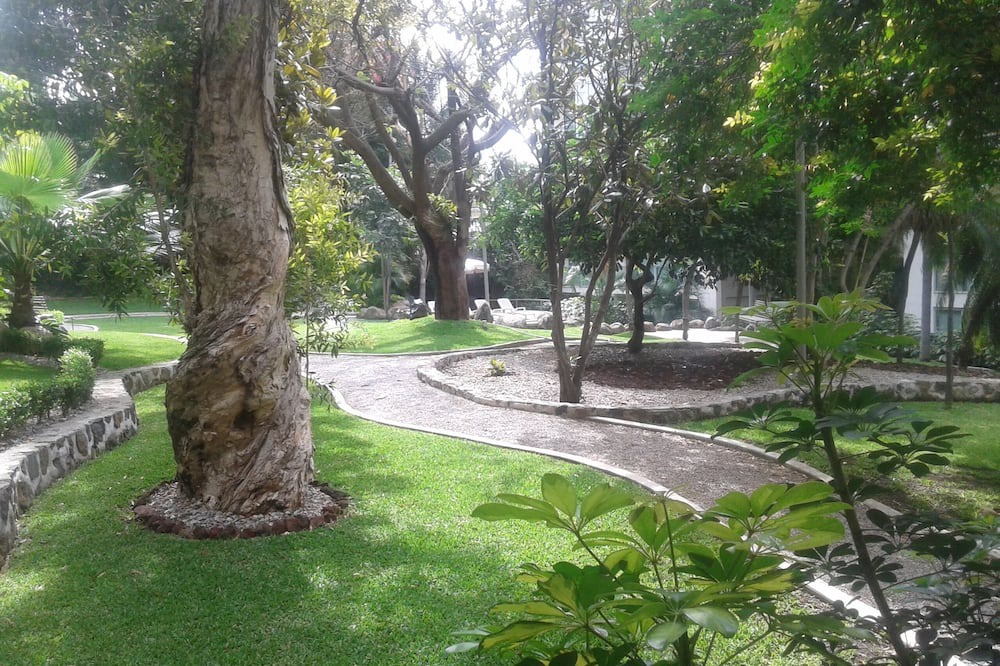 Photo of Others in Jacarandas
