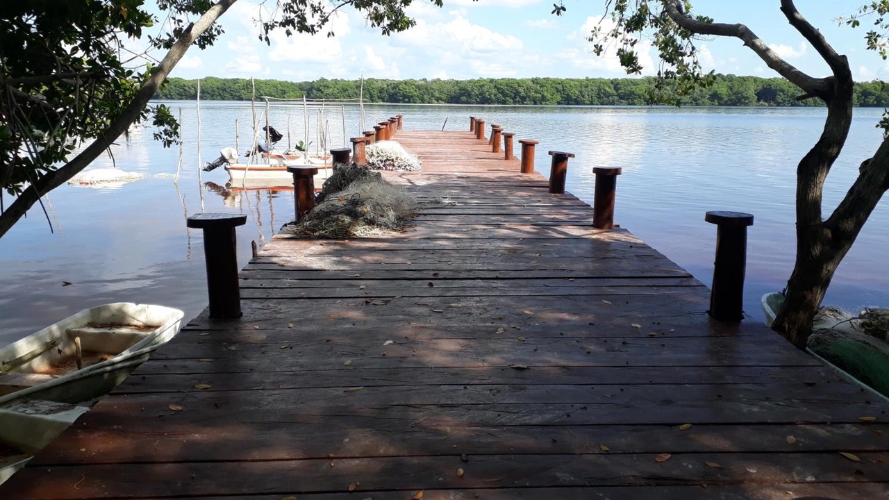 Photo of Outdoor in Celestun