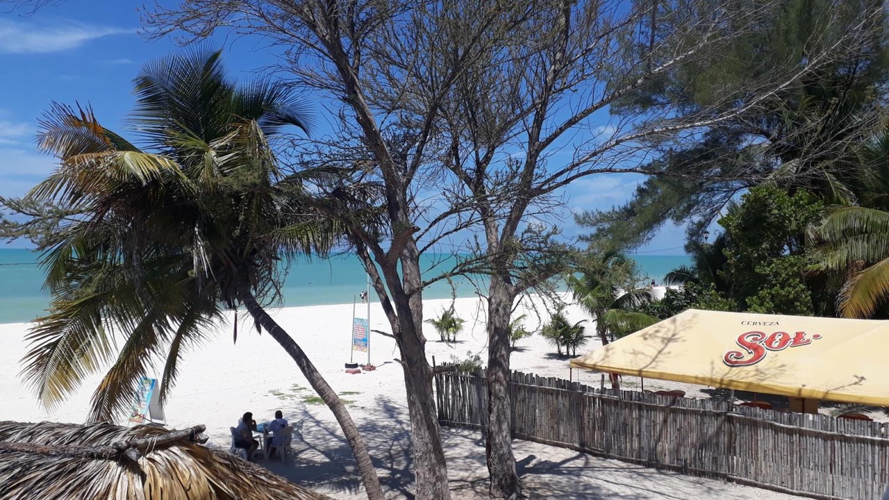 Photo of Outdoor in Celestun