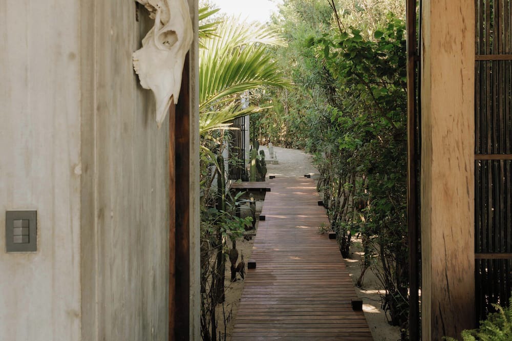 Photo of Outdoor in Puerto Escondido
